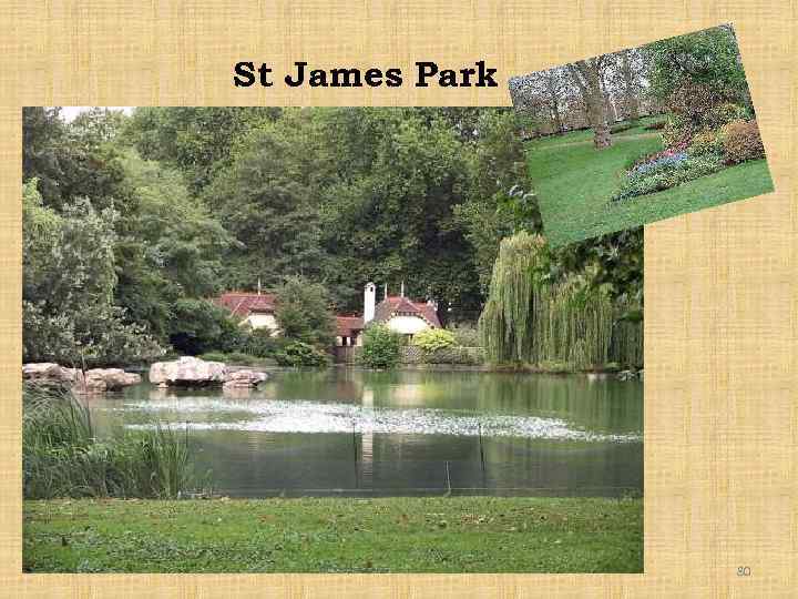 St James Park 80 