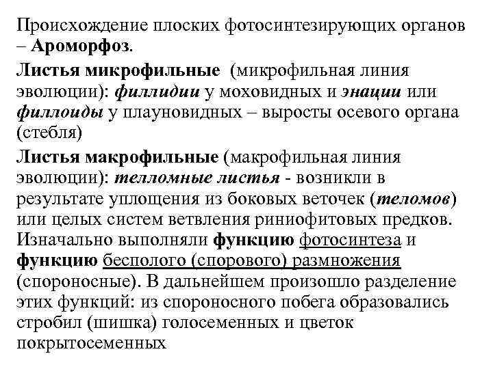 Происхождение плоских фотосинтезирующих органов – Ароморфоз. Листья микрофильные (микрофильная линия эволюции): филлидии у моховидных
