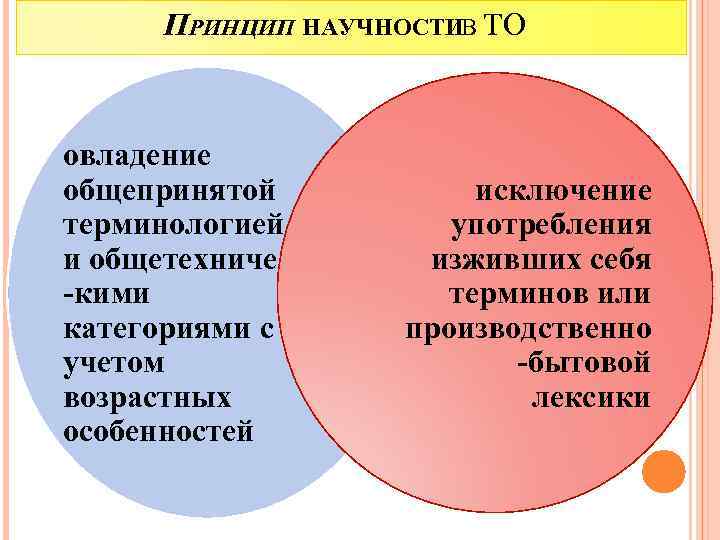 ПРИНЦИП НАУЧНОСТИВ ТО овладение общепринятой терминологией и общетехничес -кими категориями с учетом возрастных особенностей