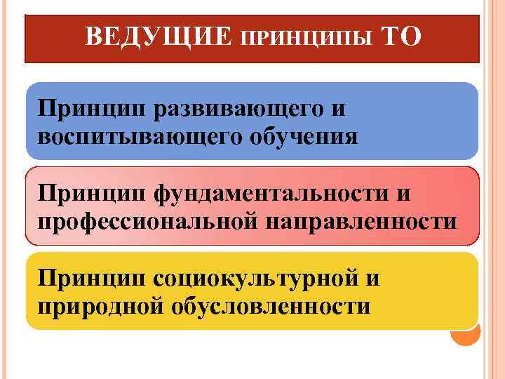 ВЕДУЩИЕ ПРИНЦИПЫ ТО Принцип развивающего и воспитывающего обучения Принцип фундаментальности и профессиональной направленности Принцип