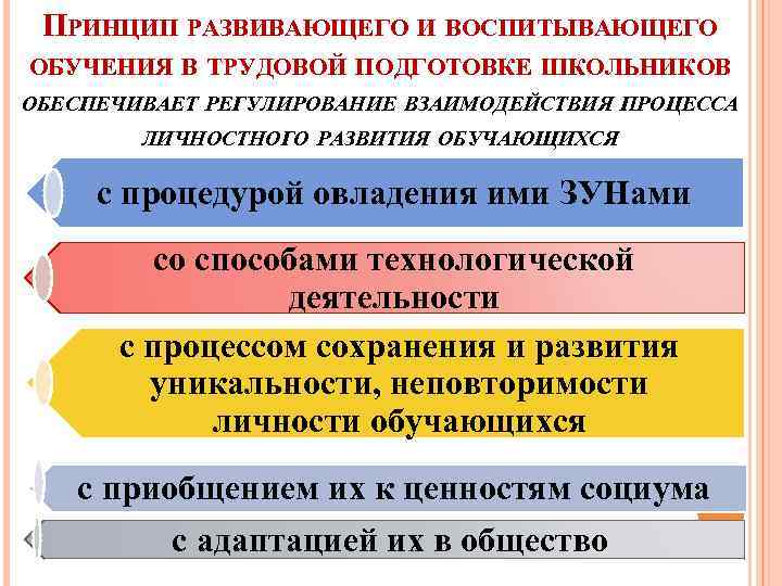 Путь подготовки. Принцип развивающего и воспитывающего обучения. Принцип воспитывающего обучения в педагогике. Дидактический принцип воспитывающего обучения. Принцип воспитывающего обучения реализация.