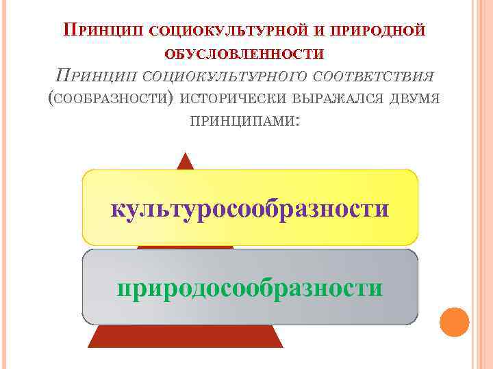 ПРИНЦИП СОЦИОКУЛЬТУРНОЙ И ПРИРОДНОЙ ОБУСЛОВЛЕННОСТИ ПРИНЦИП СОЦИОКУЛЬТУРНОГО СООТВЕТСТВИЯ (СООБРАЗНОСТИ) ИСТОРИЧЕСКИ ВЫРАЖАЛСЯ ДВУМЯ ПРИНЦИПАМИ: культуросообразности
