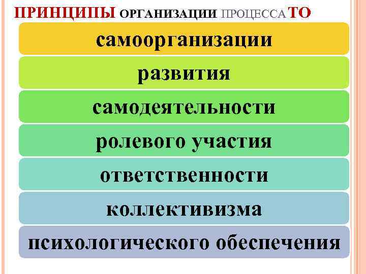 ПРИНЦИПЫ ОРГАНИЗАЦИИ ПРОЦЕССА ТО самоорганизации развития самодеятельности ролевого участия ответственности коллективизма психологического обеспечения 