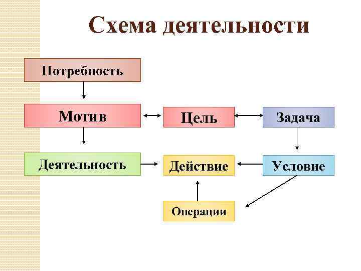 Заполните схему виды деятельности