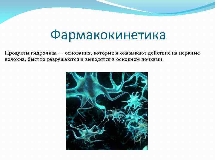 Фармакокинетика Продукты гидролиза — основания, которые и оказывают действие на нервные волокна, быстро разрушаются