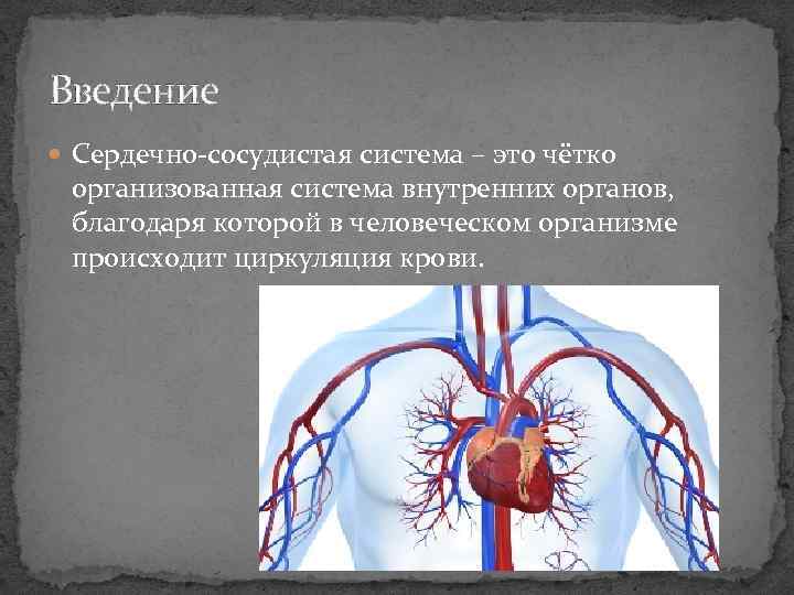 1 сердечно сосудистая система. Сердечно сосудистая система. Презентация на тему сердечно сосудистая система. Сообщение сердечно-сосудистая система. Сердечно-сосудистая система делится на.