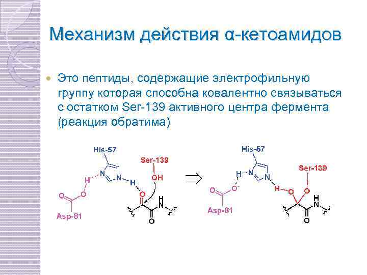 Гидролазы реакции