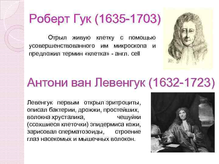 Роберт Гук (1635 -1703) Отрыл живую клетку с помощью усовершенствованного им микроскопа и предложил