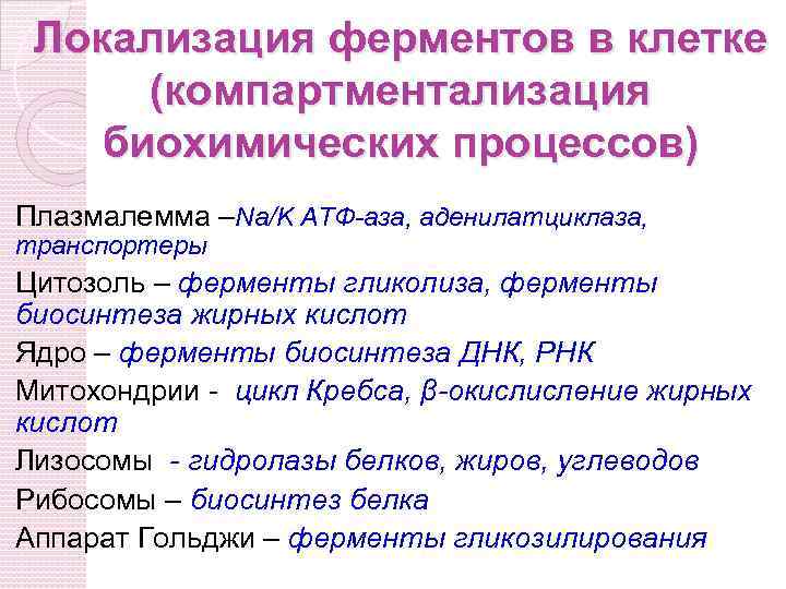 Наличие ферментов в клетках