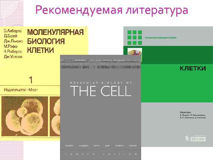 Рекомендуемая литература 