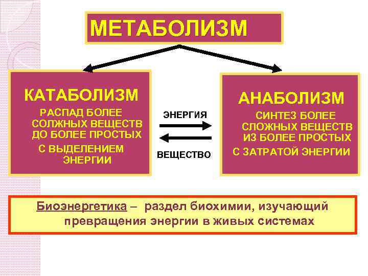 МЕТАБОЛИЗМ КАТАБОЛИЗМ РАСПАД БОЛЕЕ СОЛЖНЫХ ВЕЩЕСТВ ДО БОЛЕЕ ПРОСТЫХ С ВЫДЕЛЕНИЕМ ЭНЕРГИИ АНАБОЛИЗМ ЭНЕРГИЯ