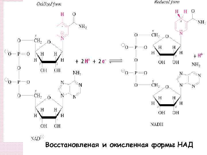 Над формула