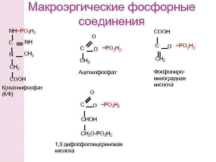 Макроэргические соединения