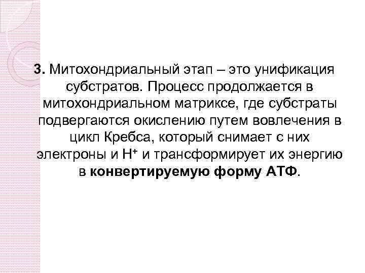 3. Митохондриальный этап – это унификация субстратов. Процесс продолжается в митохондриальном матриксе, где субстраты