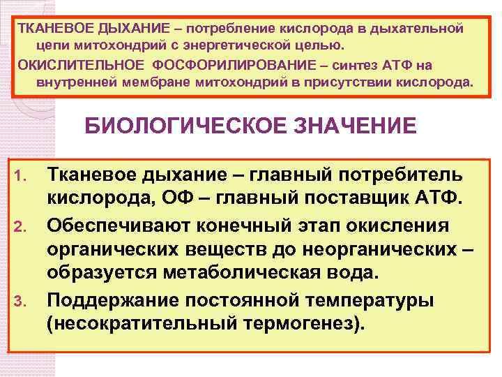 ТКАНЕВОЕ ДЫХАНИЕ – потребление кислорода в дыхательной цепи митохондрий с энергетической целью. ОКИСЛИТЕЛЬНОЕ ФОСФОРИЛИРОВАНИЕ