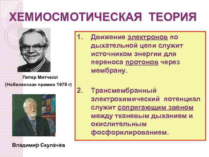 Приведите примеры взаимодействия советских и зарубежных ученых. Хемиосмотическая теория. Хемиосмотическая теория Митчела. История развития учения о биологическом окислении. Хемиосмотическая теория Митчелла кратко.