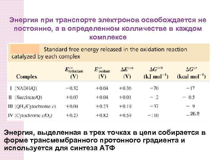 Энергия при транспорте электронов освобождается не постоянно, а в определенном колличестве в каждом комплексе