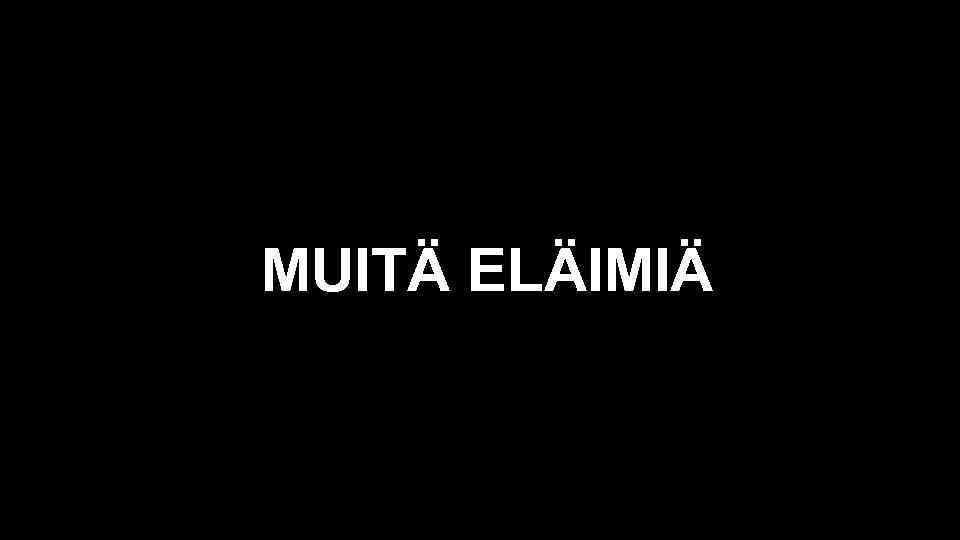 MUITÄ ELÄIMIÄ 