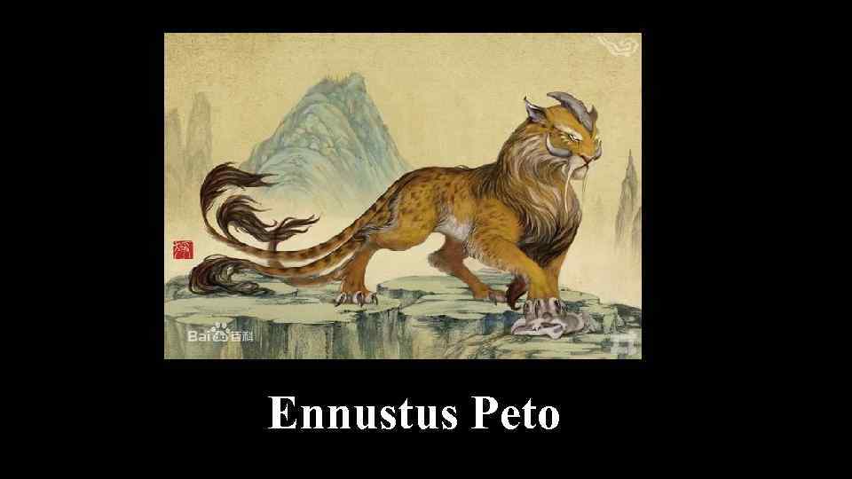 Ennustus Peto 