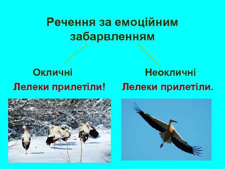 Речення за емоційним забарвленням Окличні Лелеки прилетіли! Неокличні Лелеки прилетіли. 