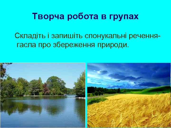 Творча робота в групах Складіть і запишіть спонукальні реченнягасла про збереження природи. 