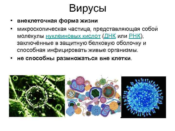 Неклеточные формы жизни вирусы бактерии. Вирусы эукариоты. Вирусы прокариоты. Бактерии это неклеточная форма жизни. Бактерия это клеточные или неклеточные формы жизни.