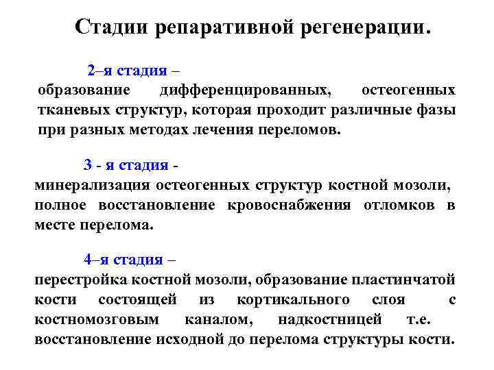 Стадии репаративной регенерации. 2–я стадия – образование дифференцированных, остеогенных тканевых структур, которая проходит различные