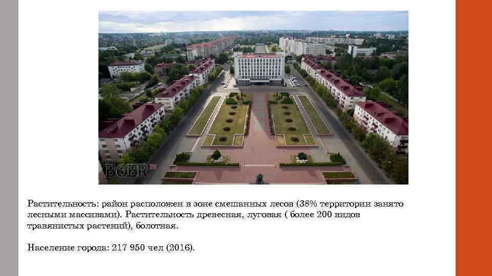 Растительность: район расположен в зоне смешанных лесов (38% территории занято лесными массивами). Растительность древесная,