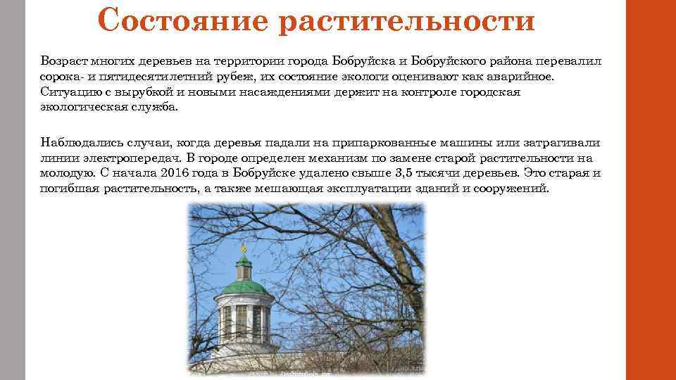 Состояние растительности Возраст многих деревьев на территории города Бобруйска и Бобруйского района перевалил сорока-