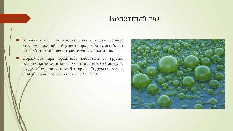 Болотный газ - бесцветный газ с очень слабым запахом, простейший углеводород, образующийся в стоячей
