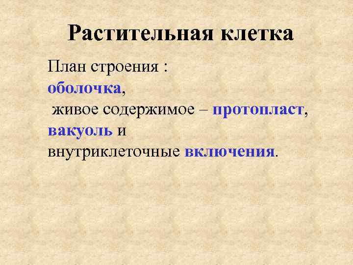 Растительная клетка План строения : оболочка, живое содержимое – протопласт, вакуоль и внутриклеточные включения.