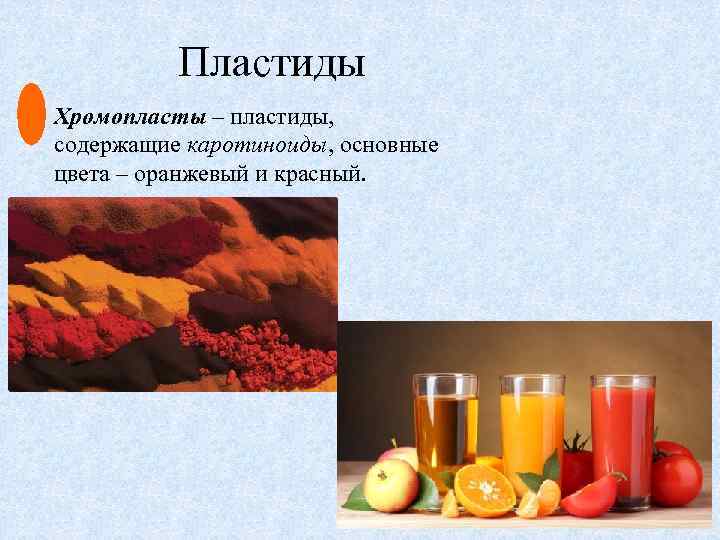 Пластиды Хромопласты – пластиды, содержащие каротиноиды, основные цвета – оранжевый и красный. 