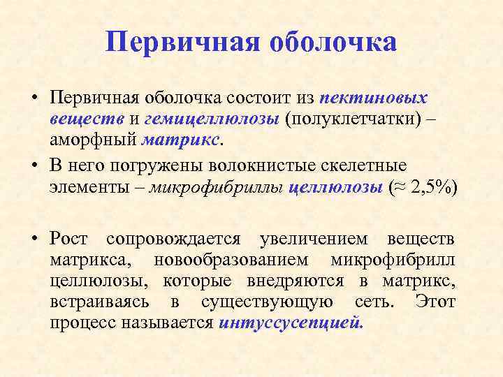 Первичная оболочка • Первичная оболочка состоит из пектиновых веществ и гемицеллюлозы (полуклетчатки) – аморфный