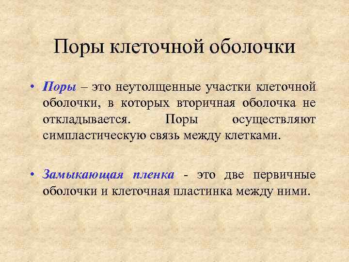 Поры клеточной оболочки • Поры – это неутолщенные участки клеточной оболочки, в которых вторичная