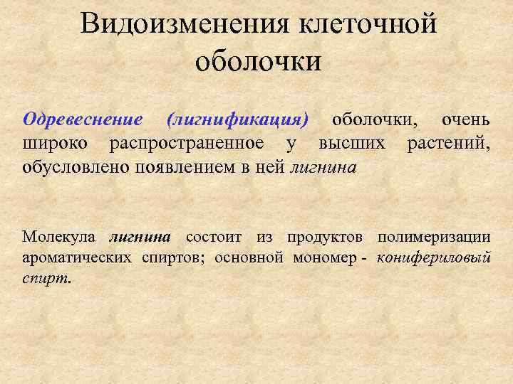 Видоизменения клеточной оболочки Одревеснение (лигнификация) оболочки, очень широко распространенное у высших растений, обусловлено появлением