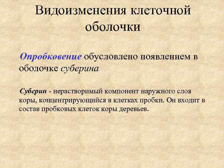 Видоизменения клеточной оболочки Опробковение обусловлено появлением в оболочке суберина Суберин - нерастворимый компонент наружного