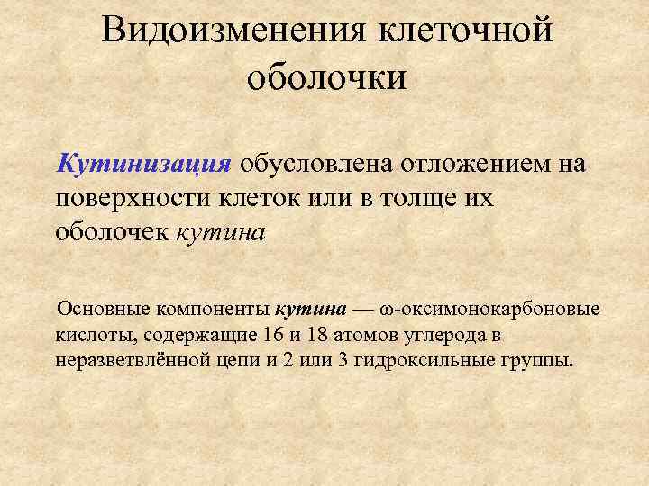 Видоизменения клеточной оболочки Кутинизация обусловлена отложением на поверхности клеток или в толще их оболочек