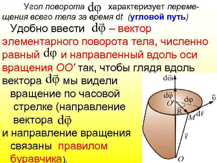 Угол поворота характеризует перемещения всего тела за время dt (угловой путь) Удобно ввести –
