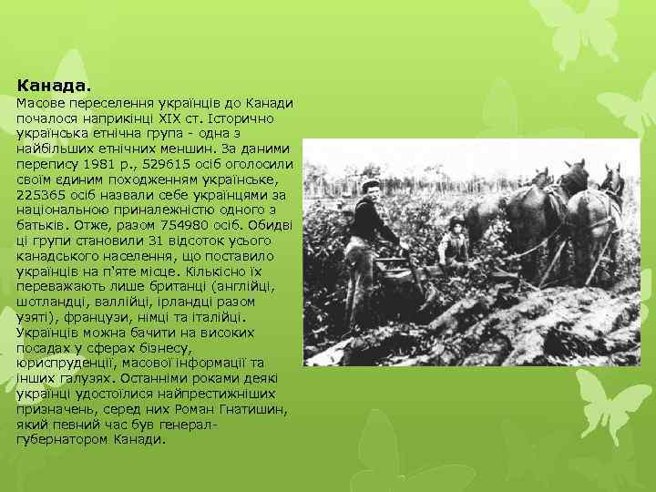 Канада. Масове переселення українців до Канади почалося наприкінці XIX ст. Історично українська етнічна група