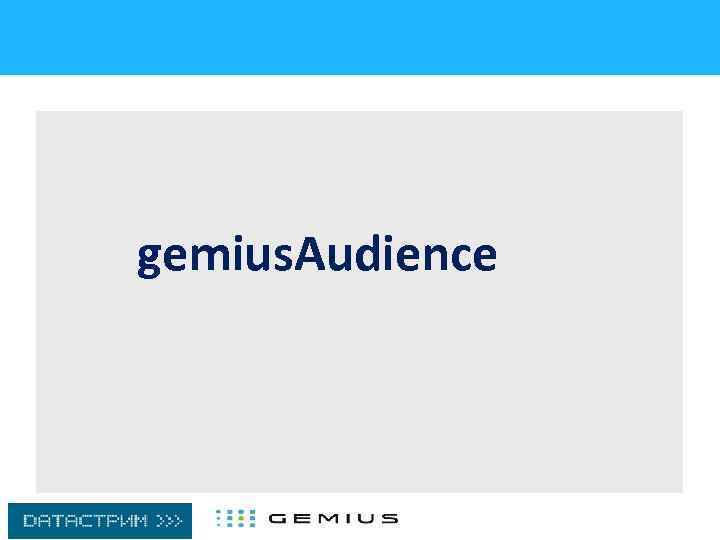 gemius. Audience 