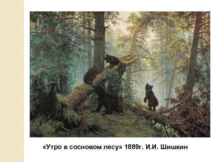  «Утро в сосновом лесу» 1889 г. И. И. Шишкин 