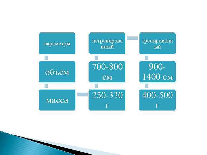 параметры нетренирова нный тренированн ый объем 700 -800 см 9001400 см масса 250 -330
