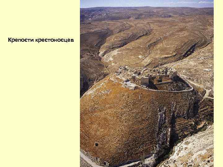 Крепости крестоносцев 