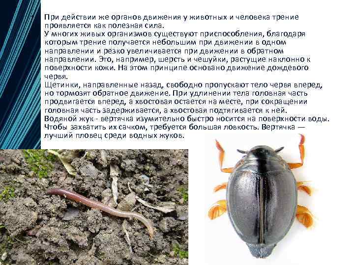  • При действии же органов движения у животных и человека трение проявляется как