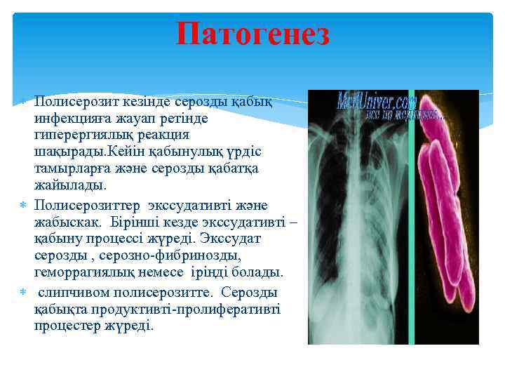 Патогенез Полисерозит кезінде серозды қабық инфекцияға жауап ретінде гиперергиялық реакция шақырады. Кейін қабынулық үрдіс