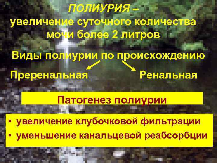 ПОЛИУРИЯ – увеличение суточного количества мочи более 2 литров Виды полиурии по происхождению Преренальная