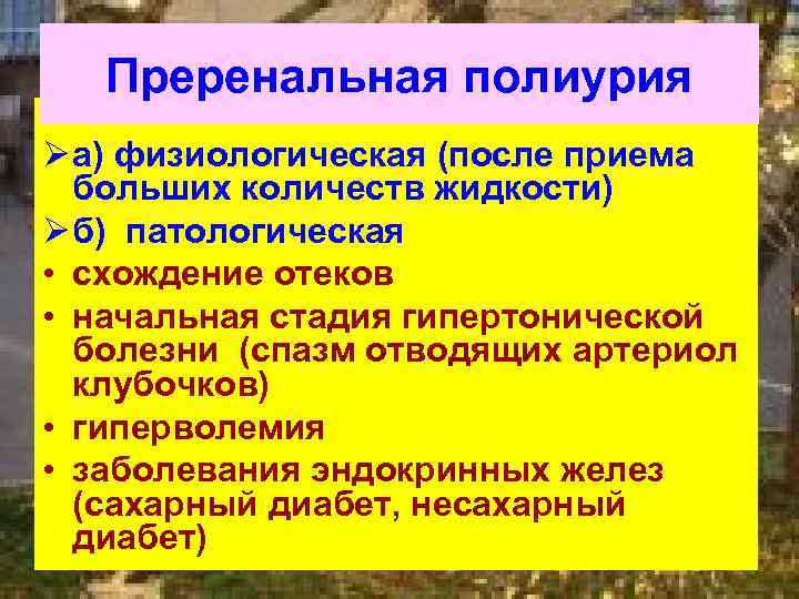 Преренальная полиурия Ø а) физиологическая (после приема больших количеств жидкости) Ø б) патологическая •