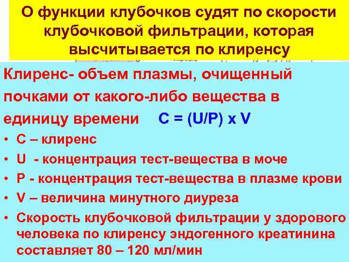 О функции клубочков судят по скорости клубочковой фильтрации, которая высчитывается по клиренсу Клиренс- объем