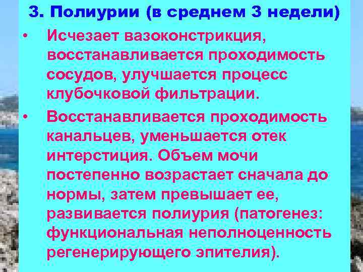 3. Полиурии (в среднем 3 недели) • Исчезает вазоконстрикция, восстанавливается проходимость сосудов, улучшается процесс