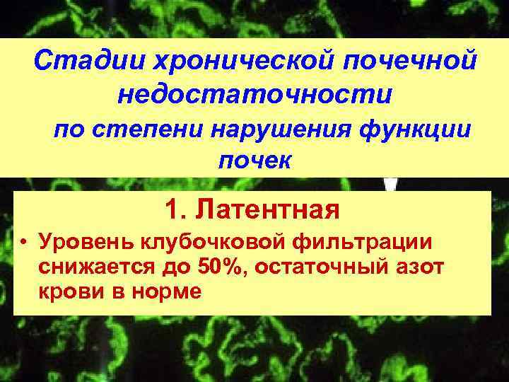 Стадии хронической почечной недостаточности по степени нарушения функции почек 1. Латентная • Уровень клубочковой